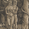 The Fall Of Mankind, 1511 by Hans Baldung Grien The Fall Of Mankind, 1511 by Hans Baldung Grien