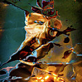 The Firestarter Digital Art by Liquid Eye The Firestarter Digital Art by Liquid Eye