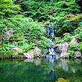 The Japanese Garden Canvas Print, Photographic Print, Art Print, Framed Print, Greeting Card, Iphone by David Millenheft The Japanese Garden Canvas Print, Photographic Print, Art Print, Framed Print, Greeting Card, Iphone by David Millenheft