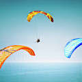 The Glide Photograph by Becqi Sherman The Glide Photograph by Becqi Sherman
