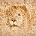 The King Digital Art by Mark Allen The King Digital Art by Mark Allen