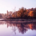 The Nature Photograph by Jaroslav Buna The Nature Photograph by Jaroslav Buna