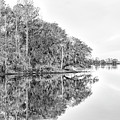 The Point at Coosaw Plantation by Scott Hansen