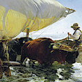 The Return from Fishing of 1905 Painting by Juaquin Sorolla The Return from Fishing of 1905 Painting by Juaquin Sorolla