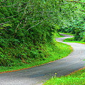 The road less travelled Photograph by Leslie Struxness The road less travelled Photograph by Leslie Struxness