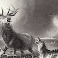 The Stag At Bay by Edwin Landseer The Stag At Bay by Edwin Landseer