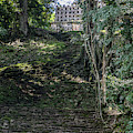 The Steps I Did Not Climb Photograph by Kathy McClure The Steps I Did Not Climb Photograph by Kathy McClure