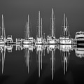 The Stillness Photograph by Christopher Rice The Stillness Photograph by Christopher Rice