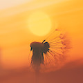 The Sun Photograph by Jaroslav Buna The Sun Photograph by Jaroslav Buna