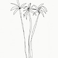 Three Tall Palm Trees- Art by Linda Woods Drawing by Linda Woods Three Tall Palm Trees- Art by Linda Woods Drawing by Linda Woods