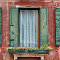 Three Windows with Green Shutters of Venice Photograph by David Letts Three Windows with Green Shutters of Venice Photograph by David Letts