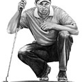 Tiger Woods Crouching Tiger Drawing by Murphy Elliott Tiger Woods Crouching Tiger Drawing by Murphy Elliott