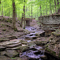 Tishomingo's Babbling Brook Photograph by Susan Rissi Tregoning Tishomingo's Babbling Brook Photograph by Susan Rissi Tregoning
