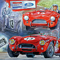 TOM PAYNE'S No 13 289 COBRA COMPETITION Painting by David Lloyd Glover TOM PAYNE'S No 13 289 COBRA COMPETITION Painting by David Lloyd Glover