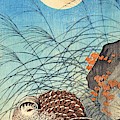 Top Quality Art - Moon And Quail by Ohara Koson Top Quality Art - Moon And Quail by Ohara Koson