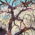 Topanga Oak Painting by Luisa Millicent Topanga Oak Painting by Luisa Millicent