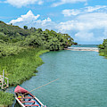 Tour Boat In Jamaica by Debbie Ann Powell Tour Boat In Jamaica by Debbie Ann Powell