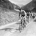Tour De France 1954 The Cyclist Bobet Photograph by Keystone-france