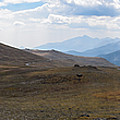 Trail Ridge Road Arctic Panorama Photograph by Nicole Lloyd Trail Ridge Road Arctic Panorama Photograph by Nicole Lloyd