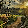 Trail to the Sunset by Alex Morales