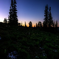 Tree Silhouette Sunrise 2 Photograph by Pelo Blanco Photo Tree Silhouette Sunrise 2 Photograph by Pelo Blanco Photo