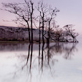 Trees in the Mist on Lake Ullswater Photograph by Anita Nicholson Trees in the Mist on Lake Ullswater Photograph by Anita Nicholson