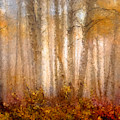 Trees Painting by Vart Studio Trees Painting by Vart Studio