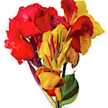 Tropical Bouquet Digital Art by Kandyce Waltensperger Tropical Bouquet Digital Art by Kandyce Waltensperger