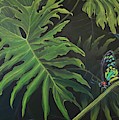 Tropicalia by Hunter Jay Tropicalia by Hunter Jay