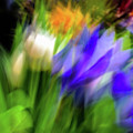 Tulips and blue Photograph by Phillip Rubino Tulips and blue Photograph by Phillip Rubino