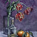 Tulips And Oranges by John Neeve Tulips And Oranges by John Neeve