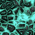 Turquoise Flower Stone Wall by Don Northup