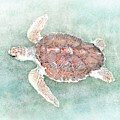 Turtle 2 Digital Art by Lucie Dumas Turtle 2 Digital Art by Lucie Dumas