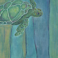 Turtle Chase by Robin Wiesneth