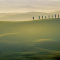 Tuscany Landscape with Cypress Trees Photograph by Heiko Koehrer-Wagner Tuscany Landscape with Cypress Trees Photograph by Heiko Koehrer-Wagner