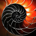 Twirl Photograph by Jim Painter Twirl Photograph by Jim Painter