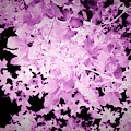 Purple Autumn Leaves Mixed Media by Itsonlythemoon - Purple Autumn Leaves Mixed Media by Itsonlythemoon -