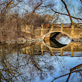 Uw Arboretum by Brad Bellisle Uw Arboretum by Brad Bellisle