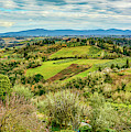 Verdant Tuscan Springtime Photograph by Marcy Wielfaert Verdant Tuscan Springtime Photograph by Marcy Wielfaert
