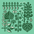 View of bee in middle of leaves Drawing by CSA Images View of bee in middle of leaves Drawing by CSA Images