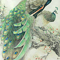 Vintage Art - Pair of Peacocks in tree by Audrey Jeanne Roberts