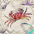 Vintage Sea Life 4 by Mark Ashkenazi Vintage Sea Life 4 by Mark Ashkenazi