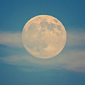 Virgo Full Moon Photograph by Judy Kennedy Virgo Full Moon Photograph by Judy Kennedy