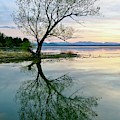 Visualizing Spring by Mike Reilly