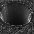 Volcanic Glass Close Up Scanning Electron Micrograph by Unknown Volcanic Glass Close Up Scanning Electron Micrograph by Unknown