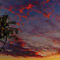 Warm Sky Photograph by John Bauer Warm Sky Photograph by John Bauer