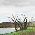 Watering Hole Painting by Gabrielle Munoz Watering Hole Painting by Gabrielle Munoz