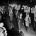 We Want Beer Photograph by Jon Neidert We Want Beer Photograph by Jon Neidert