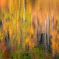 West River Reflections Photograph by Tom Singleton West River Reflections Photograph by Tom Singleton