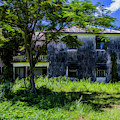 Westmoreland Plantation Photograph by Stuart Manning Westmoreland Plantation Photograph by Stuart Manning